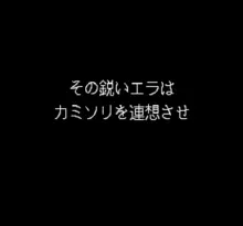 Image n° 1 - screenshots  : Umi Tsuri Meijin - Suzuki Hen